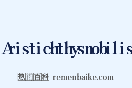 Aristichthysnobilis是什么意思的图片